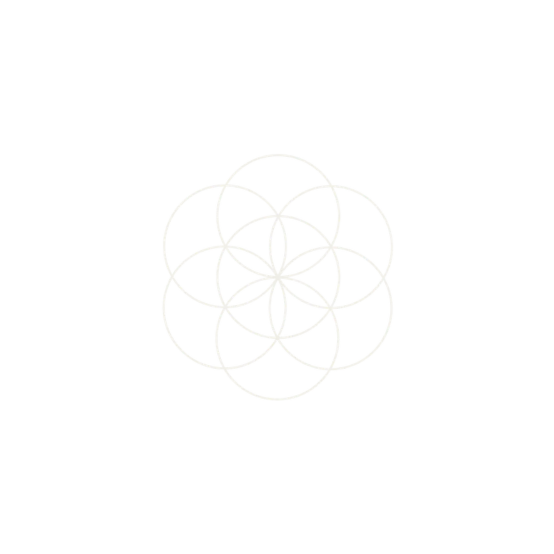 Seed of life